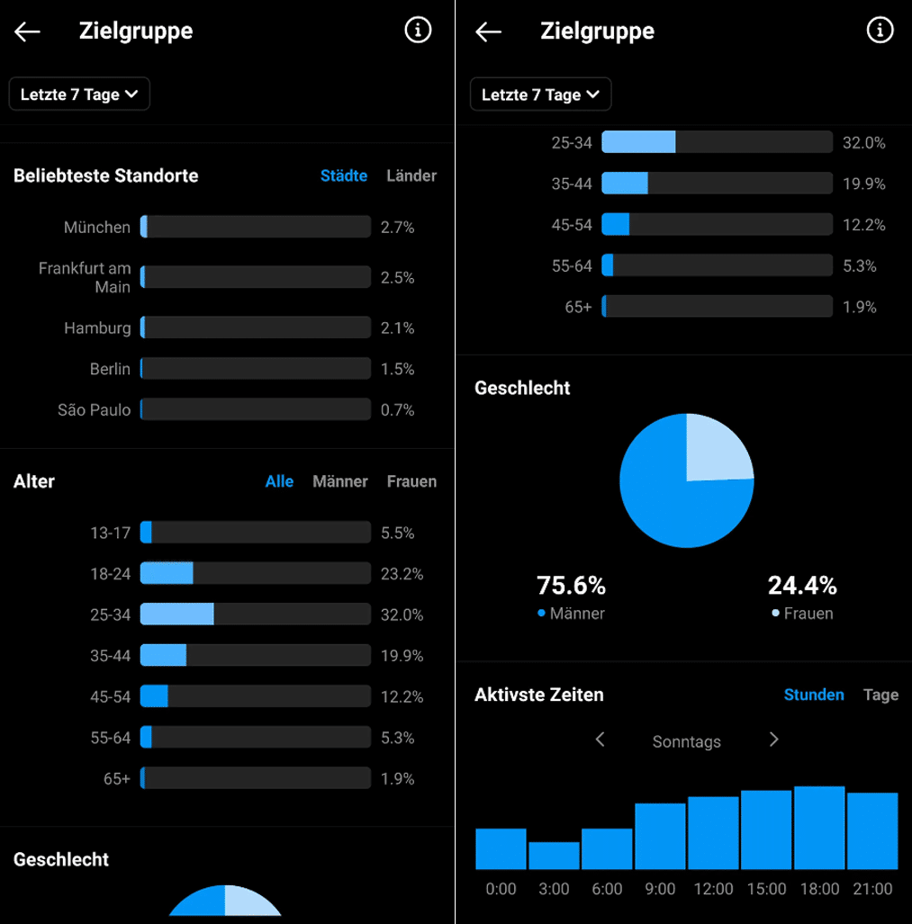 Instagram Insights Überblick über Zielgruppe